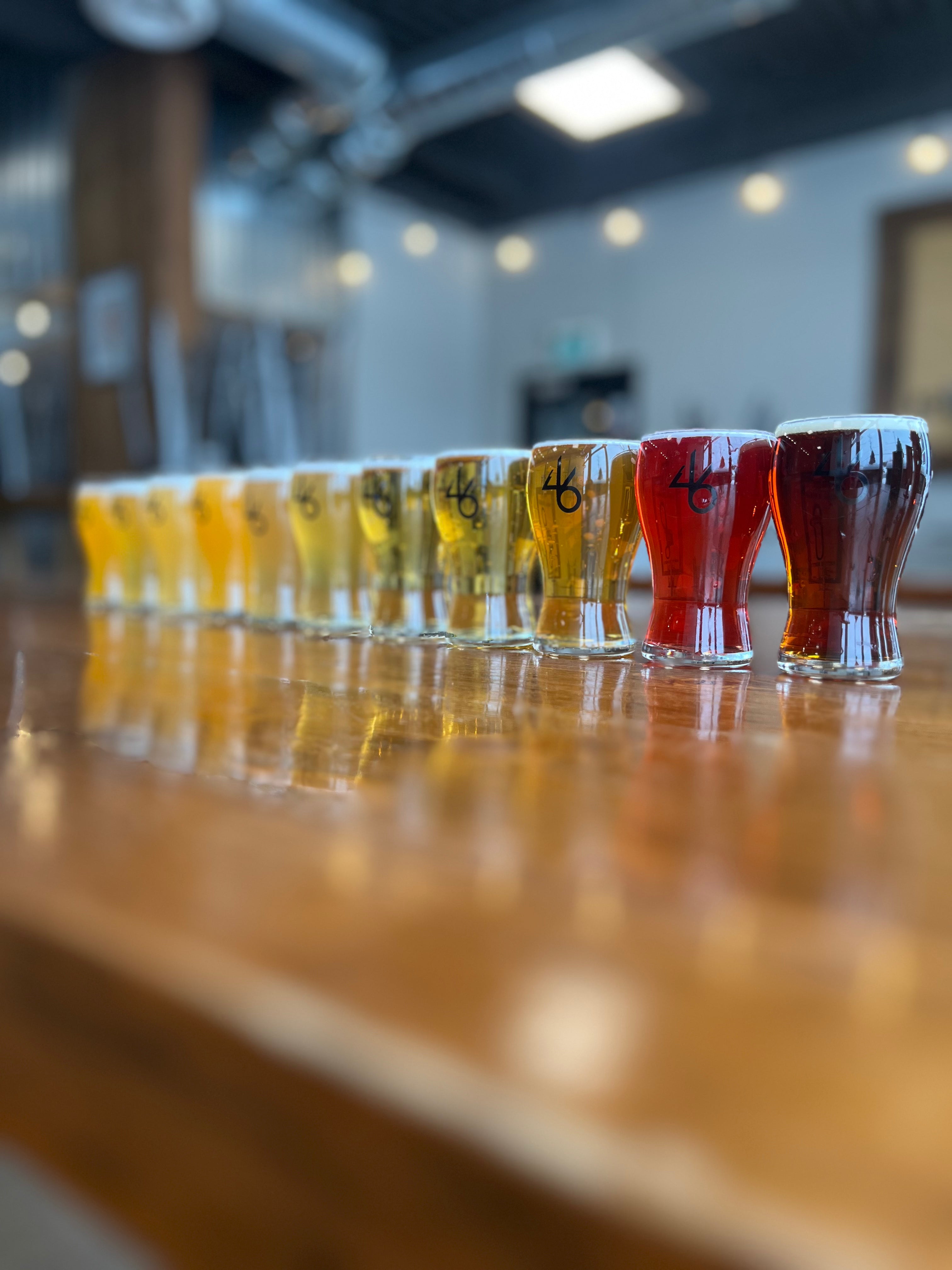46 N 46 North Brewing